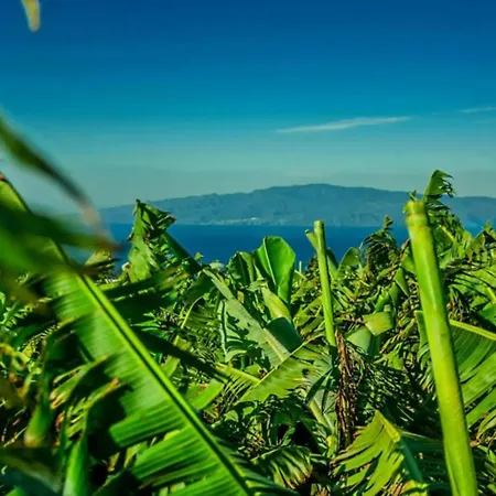 La Atalaya Hébergement de vacances