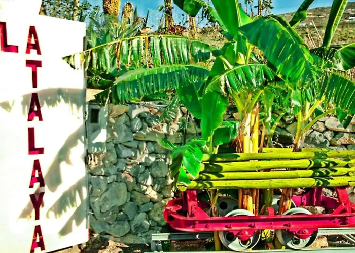 La Atalaya * Адехе